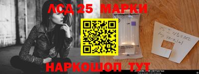 кокс Гай
