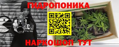 кокс Гай