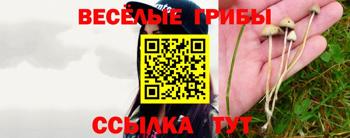 Галлюциногенные грибы Psilocybine cubensis  Вход с VPN  Мариинск 